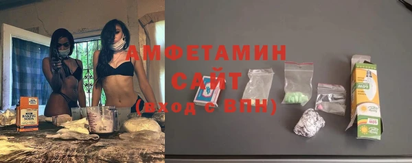 амф Гусь-Хрустальный