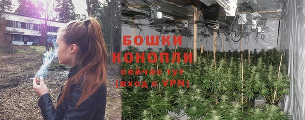 амф Гусь-Хрустальный