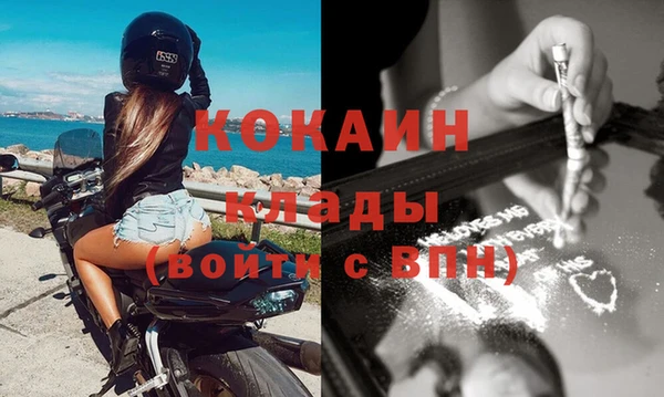 амф Гусь-Хрустальный