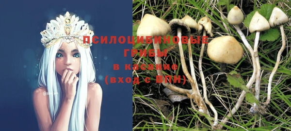 a pvp Гусиноозёрск