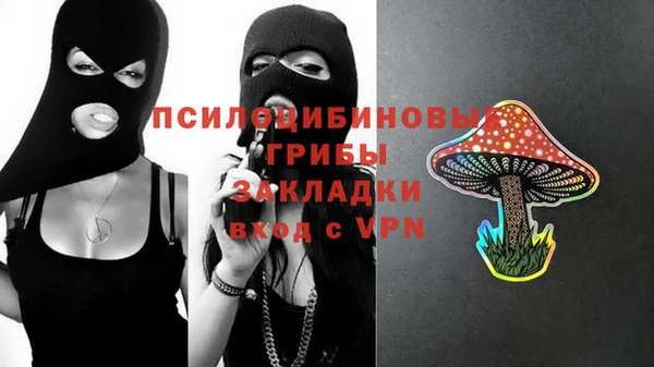 кристаллы Гусев