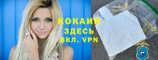 амф Гусь-Хрустальный