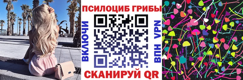 наркотики Далматово маркетплейс как зайти Галлюциногенные грибы мицелий
